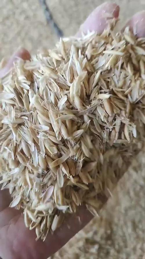 澳洲燕麥殼批發指南 東莞發貨，全國配送，750元/噸