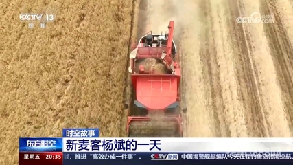 雷沃谷神車隊隊長楊斌的一天